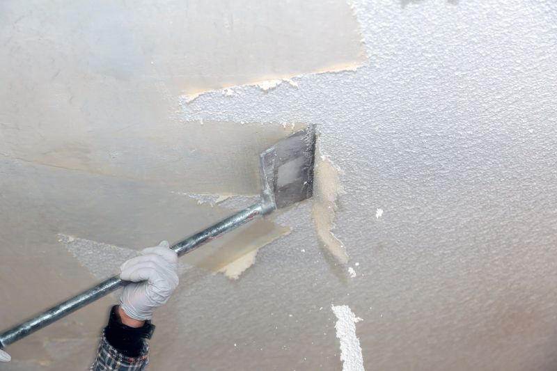 Popcorn Texture Removal
